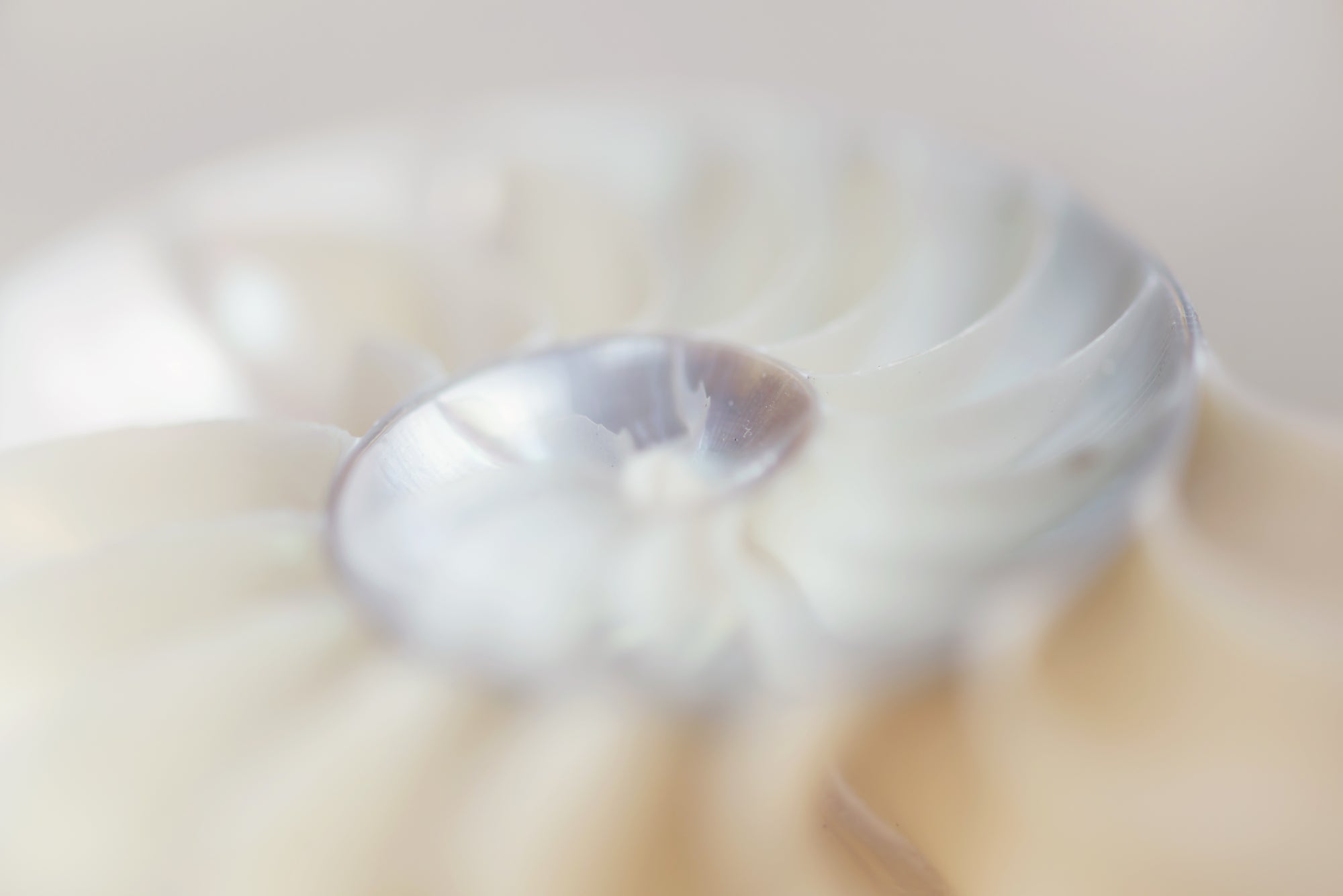 CARRY YOUR MANTRA WITH YOU