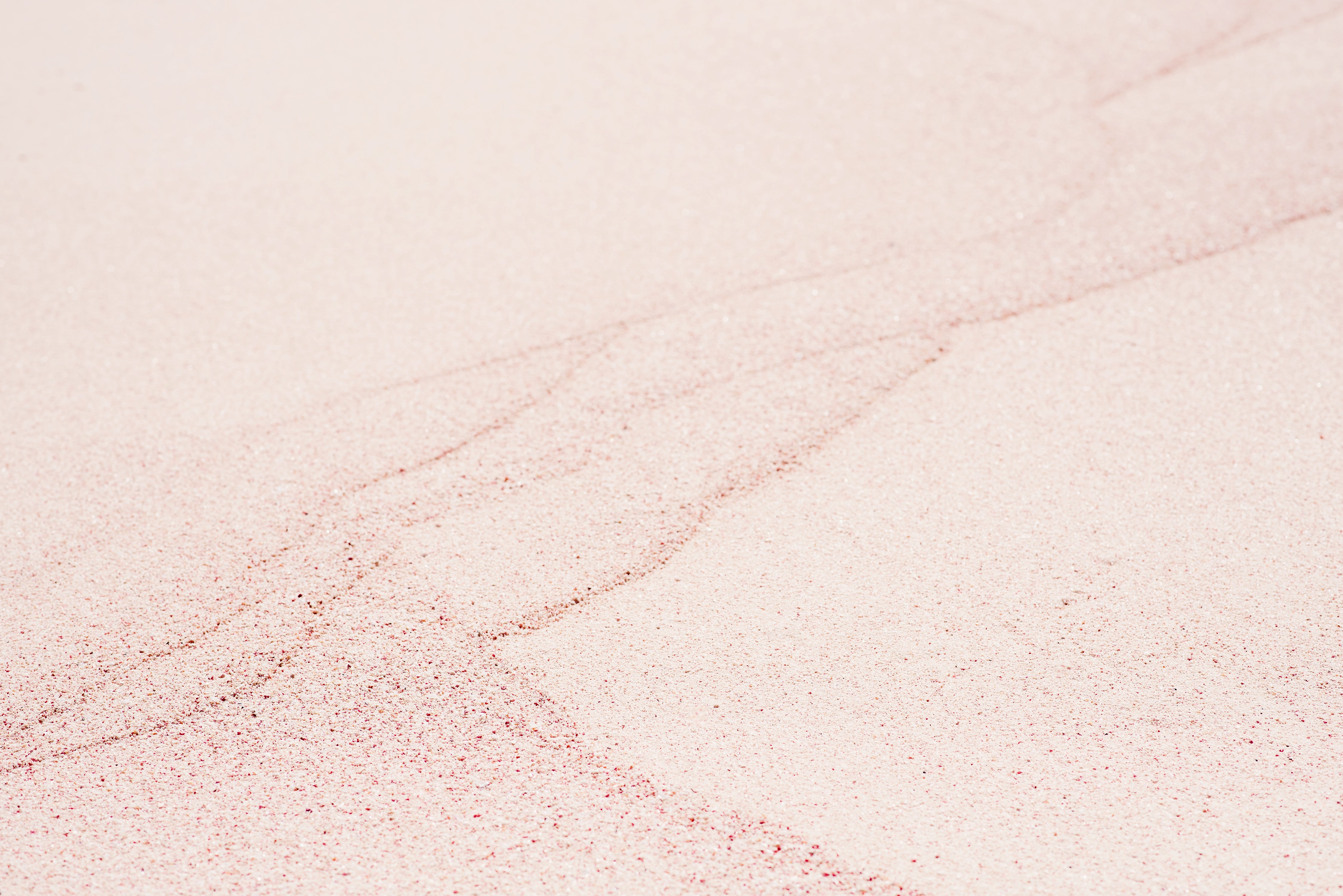 Why Bermuda's Sand is Pink!