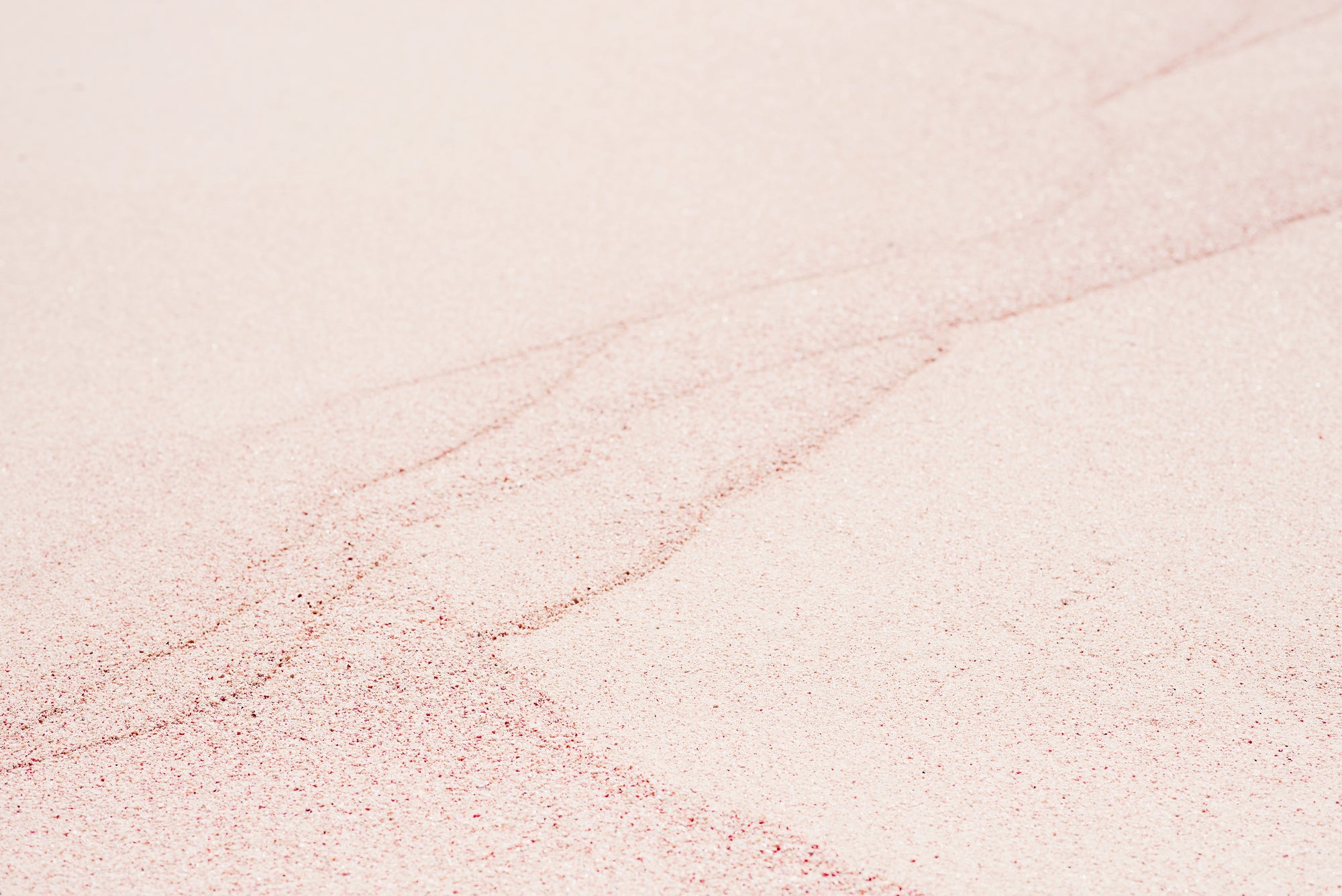 Why Bermuda's Sand is Pink!