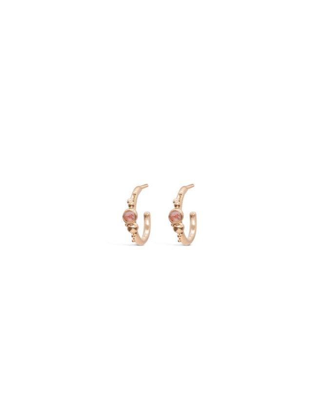 Coral Caviar ~ Small Hoop Earrings in Gold