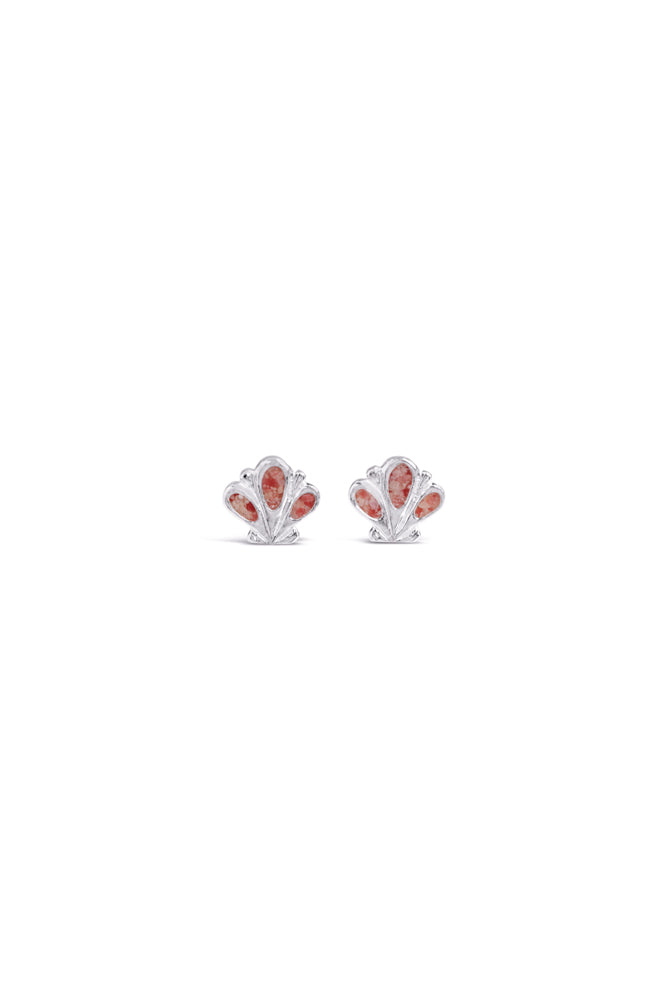 Shell ~ Scallop Stud Earrings
