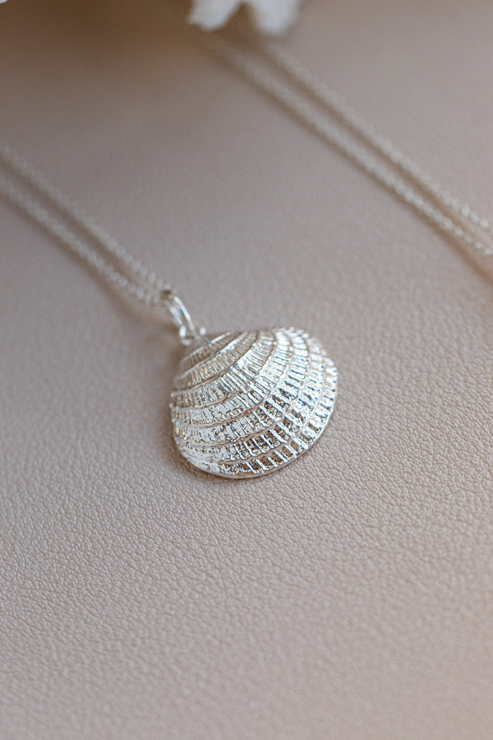 Shell ~ Clam (Large)