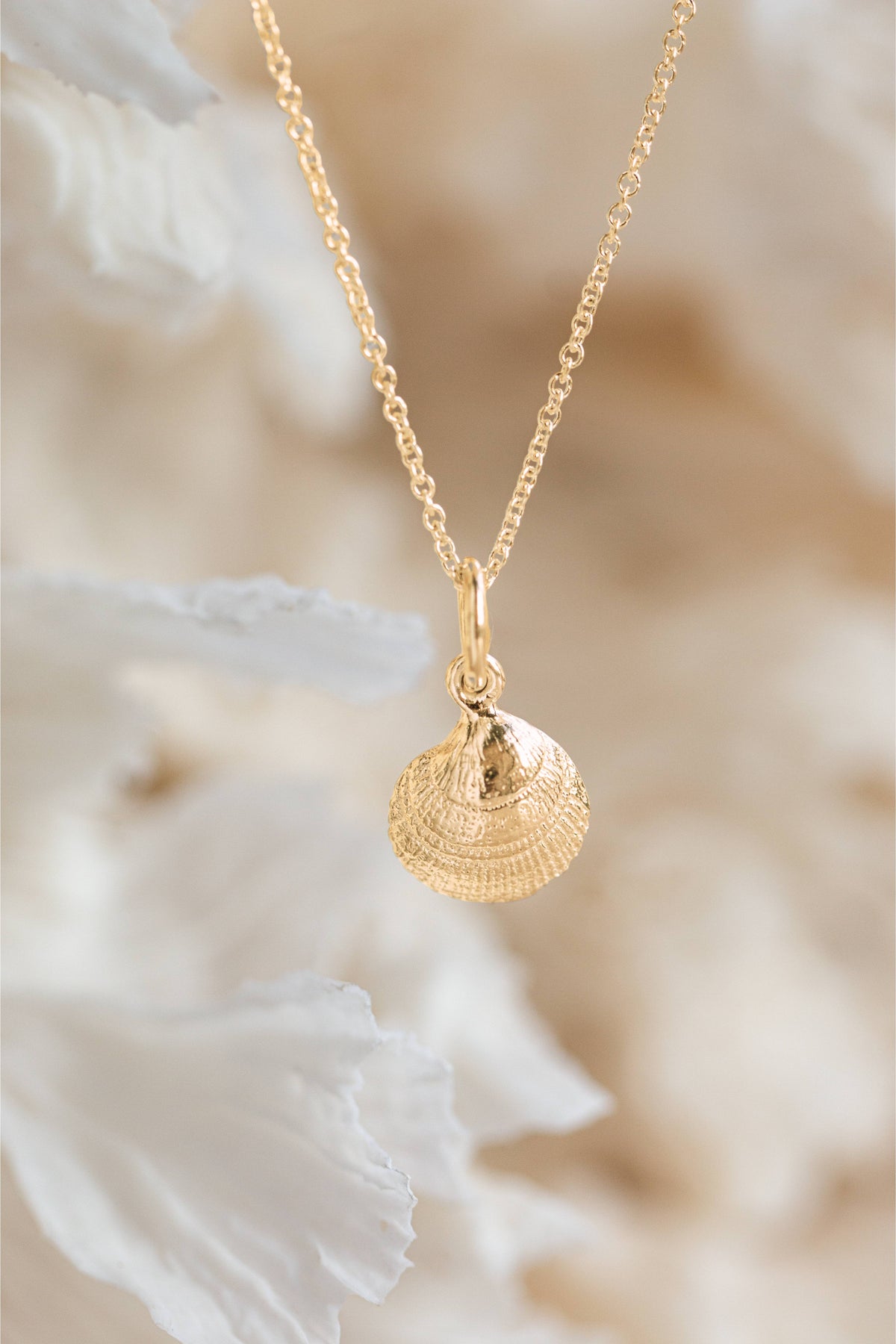 Shell ~ Clam (Small) in Gold