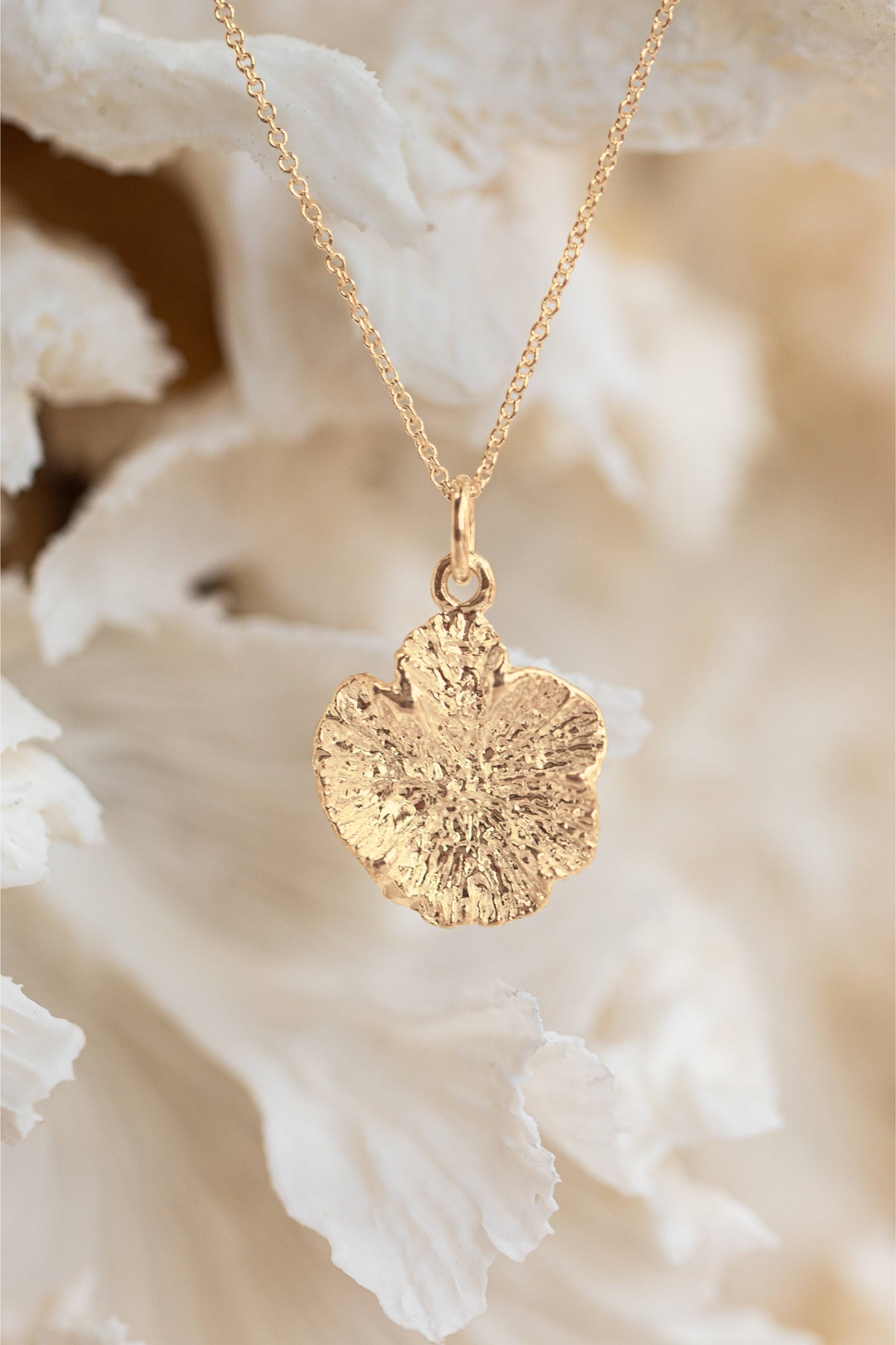 Shell ~ Coral Polyp (Large) in Gold