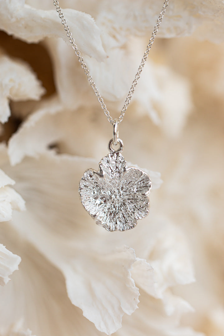 Shell ~ Coral Polyp (Large)