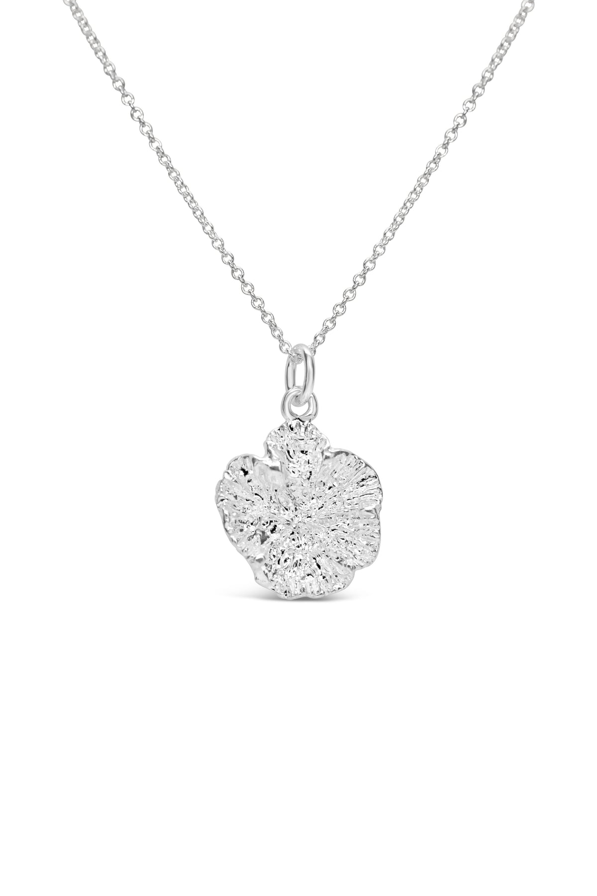 Shell ~ Coral Polyp (Large)