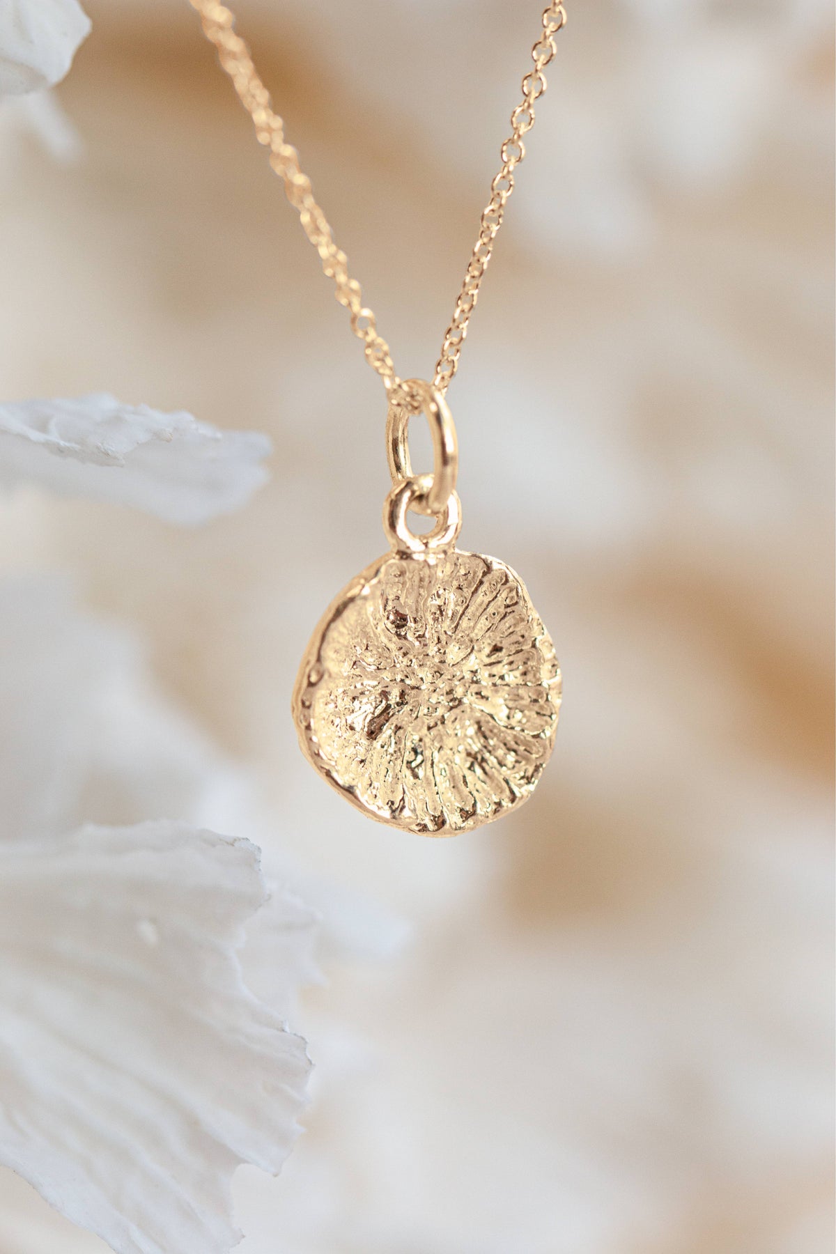 Shell ~ Coral Polyp (Small) in Gold