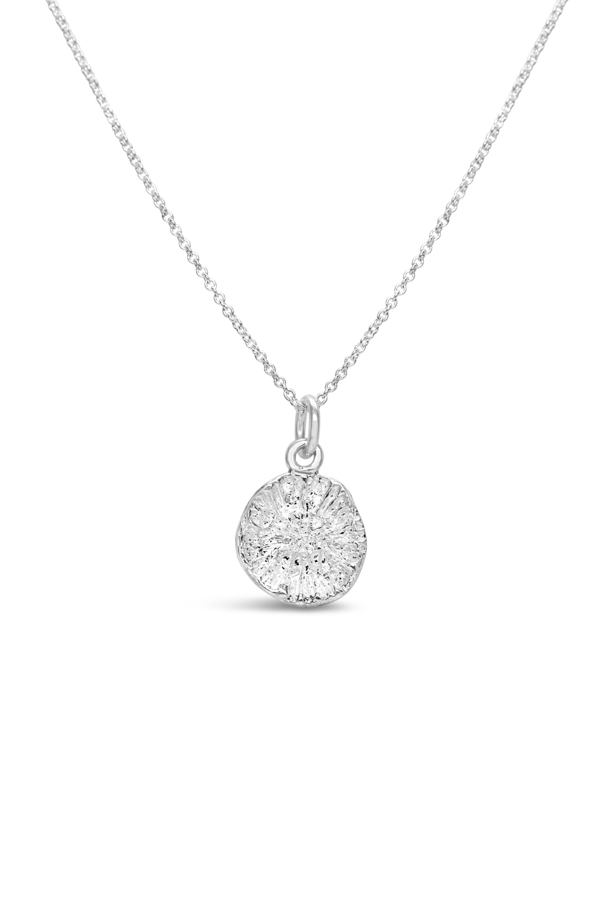 Shell ~ Coral Polyp (Small)