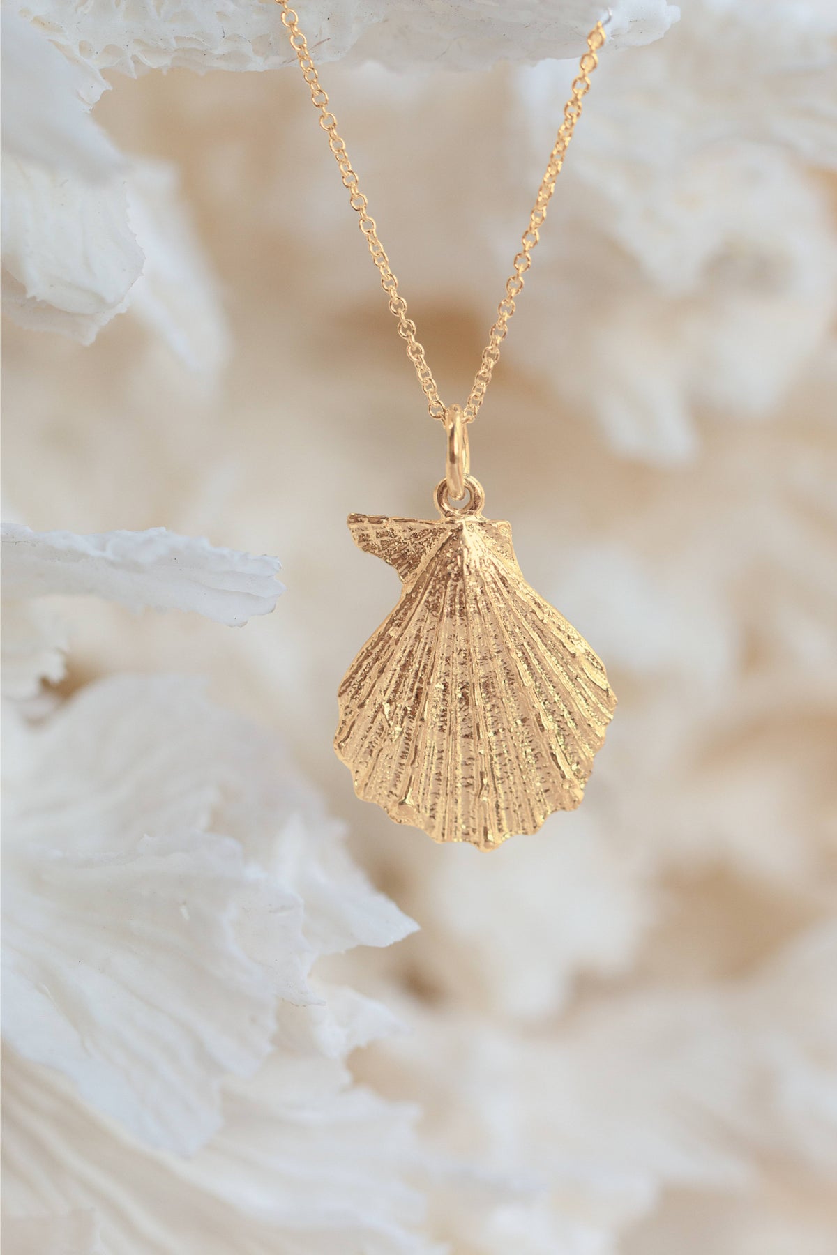 Shell ~ Knobby (Large) in Gold