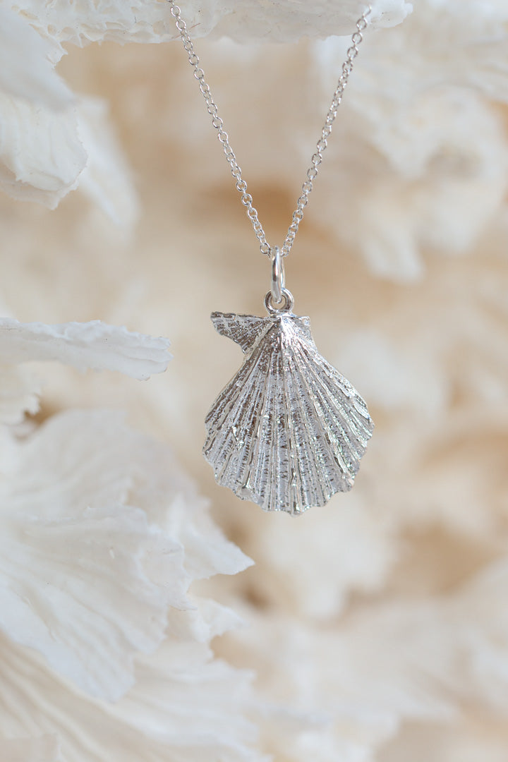 Shell ~ Knobby (Large)