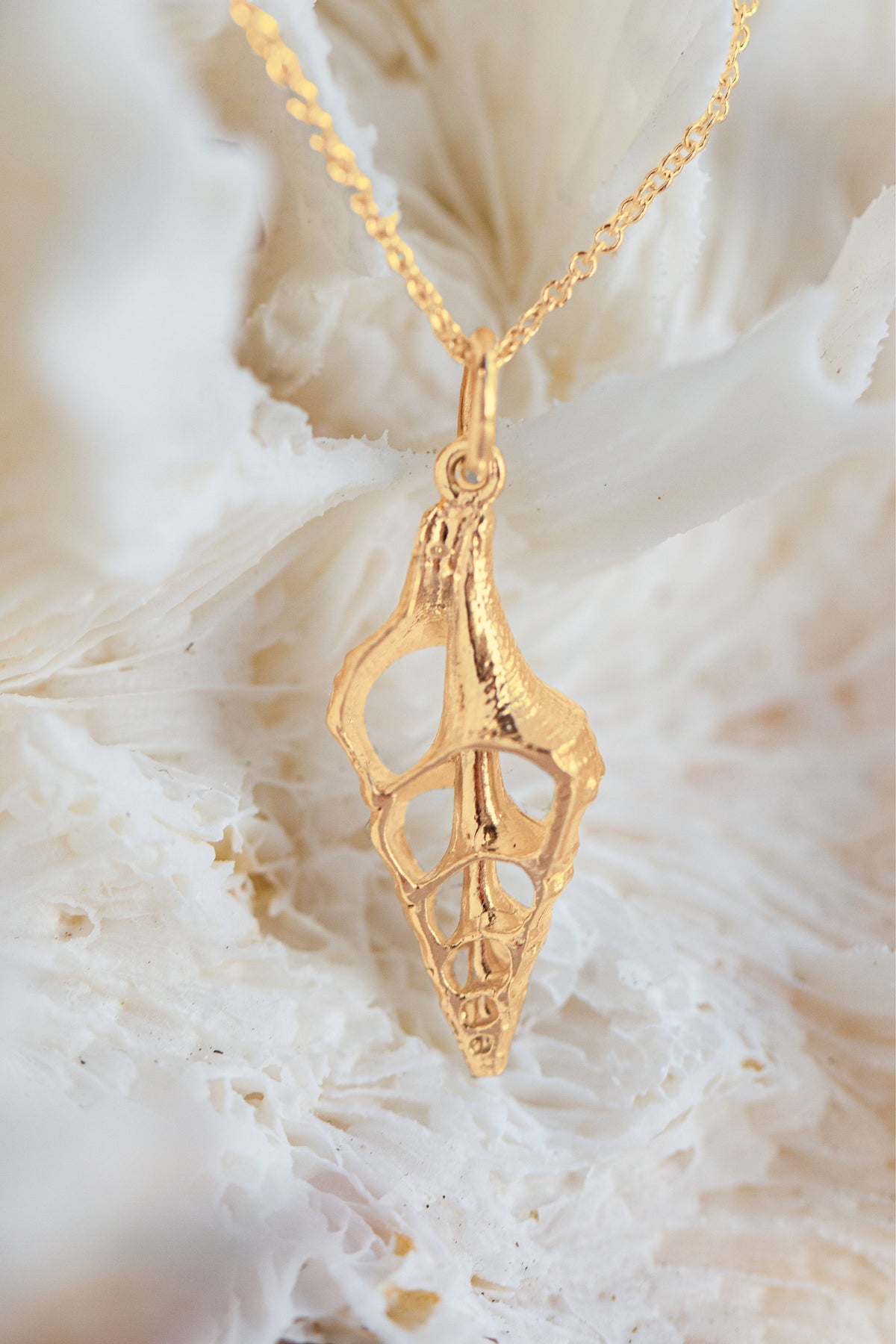 Shell ~ Open Shell (Large) in Gold