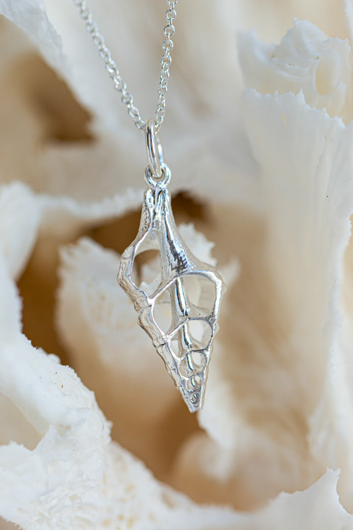 Shell ~ Open Shell (Large)