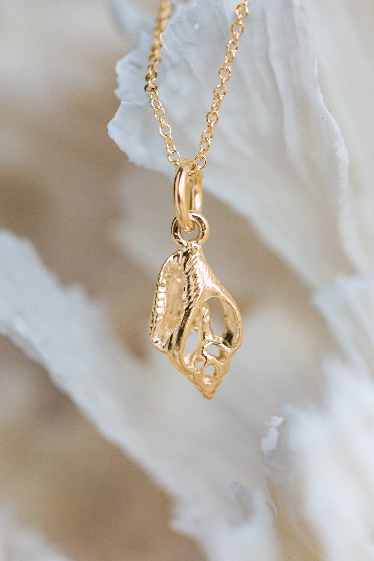 Shell ~ Open Shell (Small) in Gold