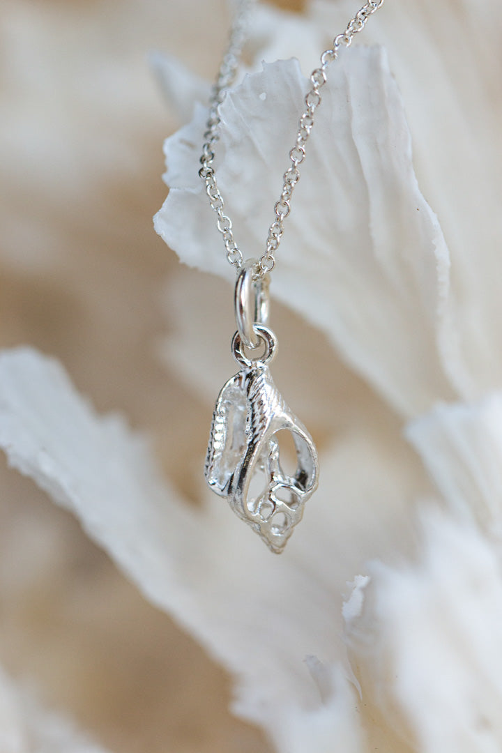 Shell ~ Open Shell (Small)