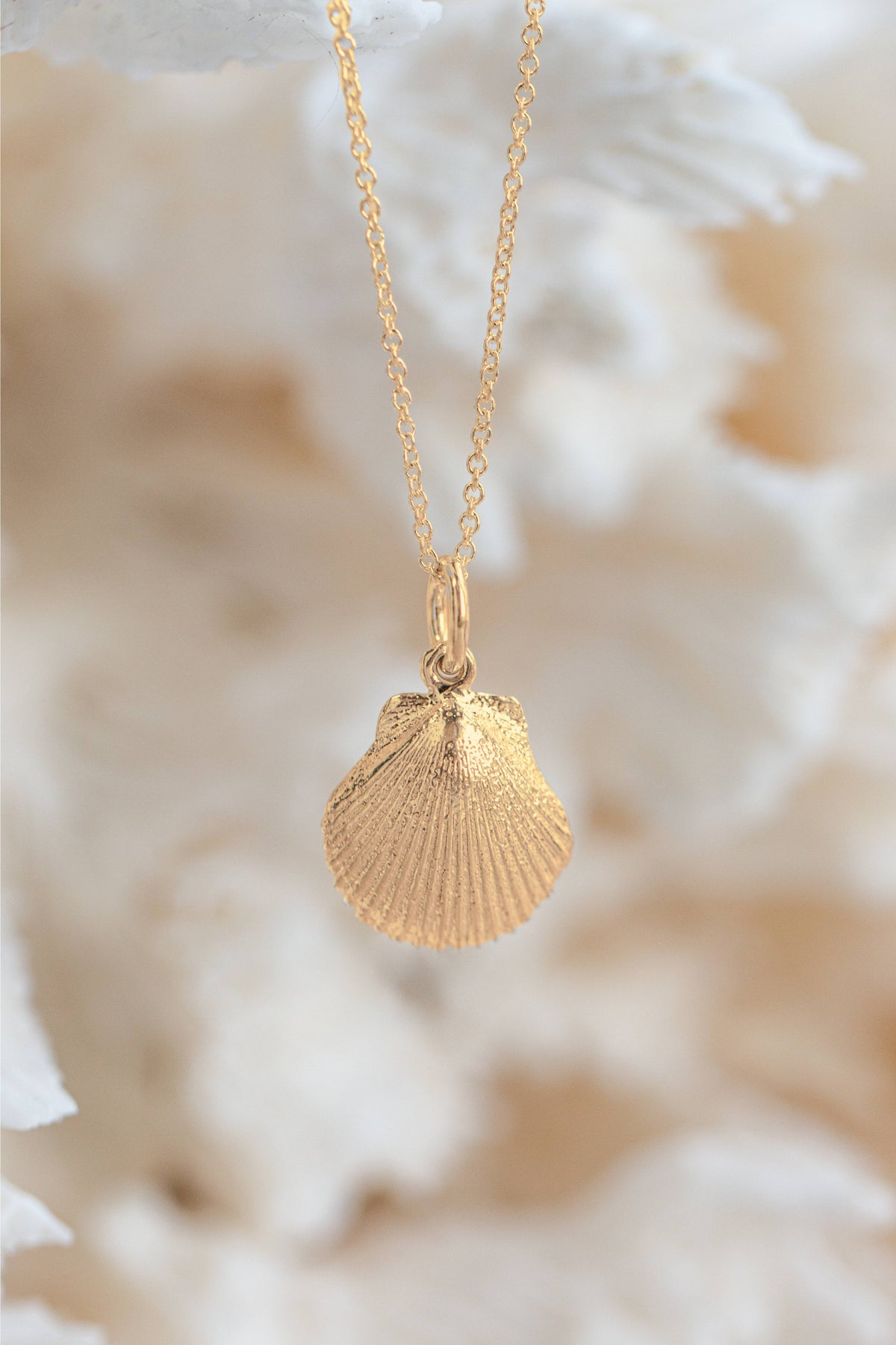 Shell ~ Pecten (Small) in Gold