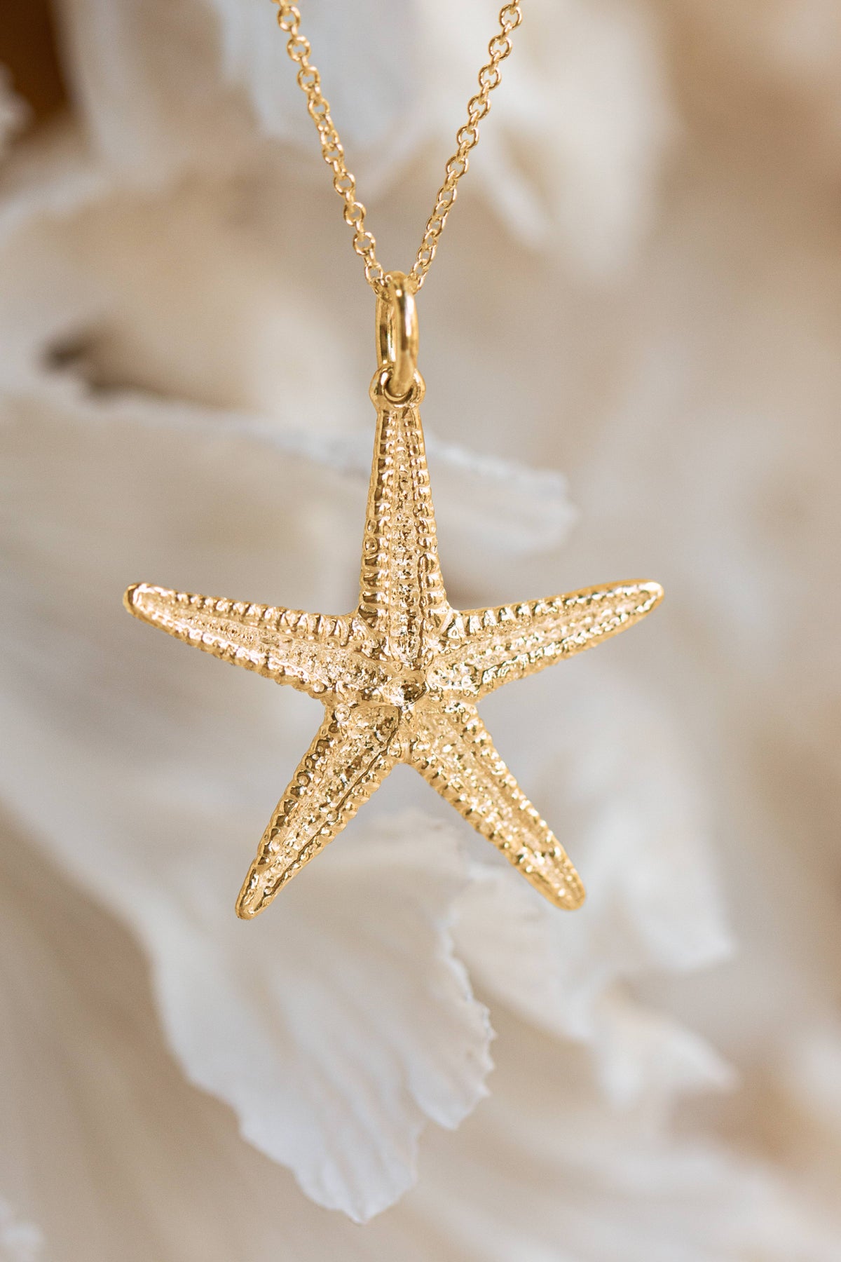 Shell ~ Starfish in Gold