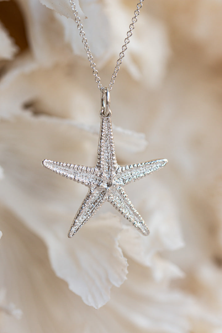 Shell ~ Starfish