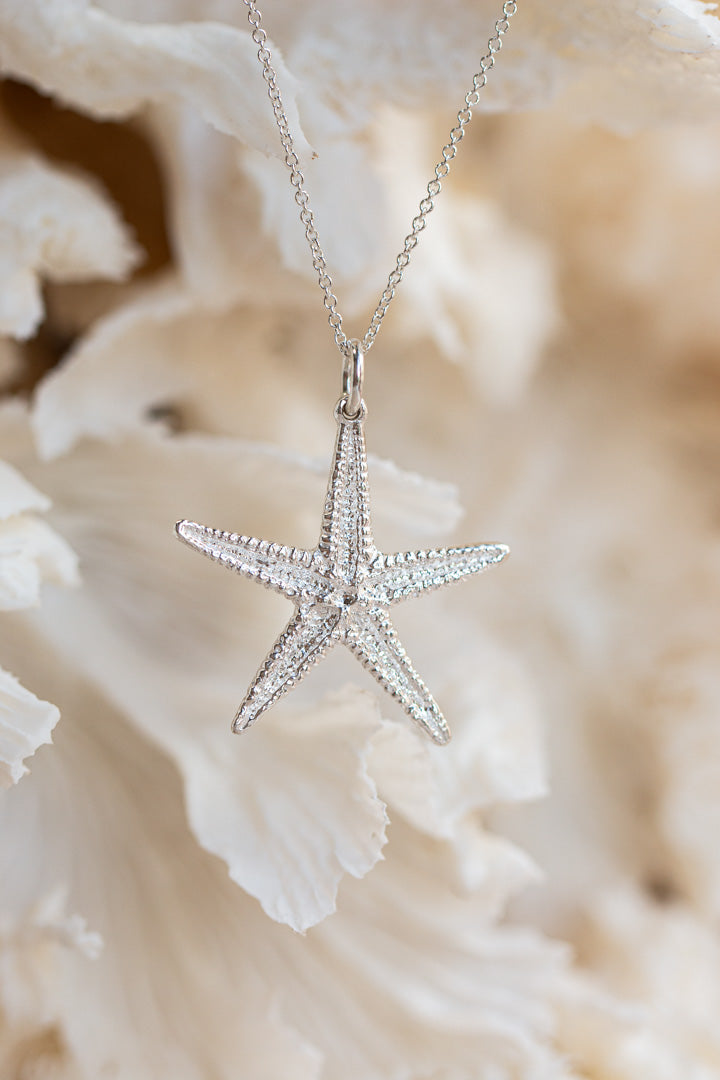 Shell ~ Starfish