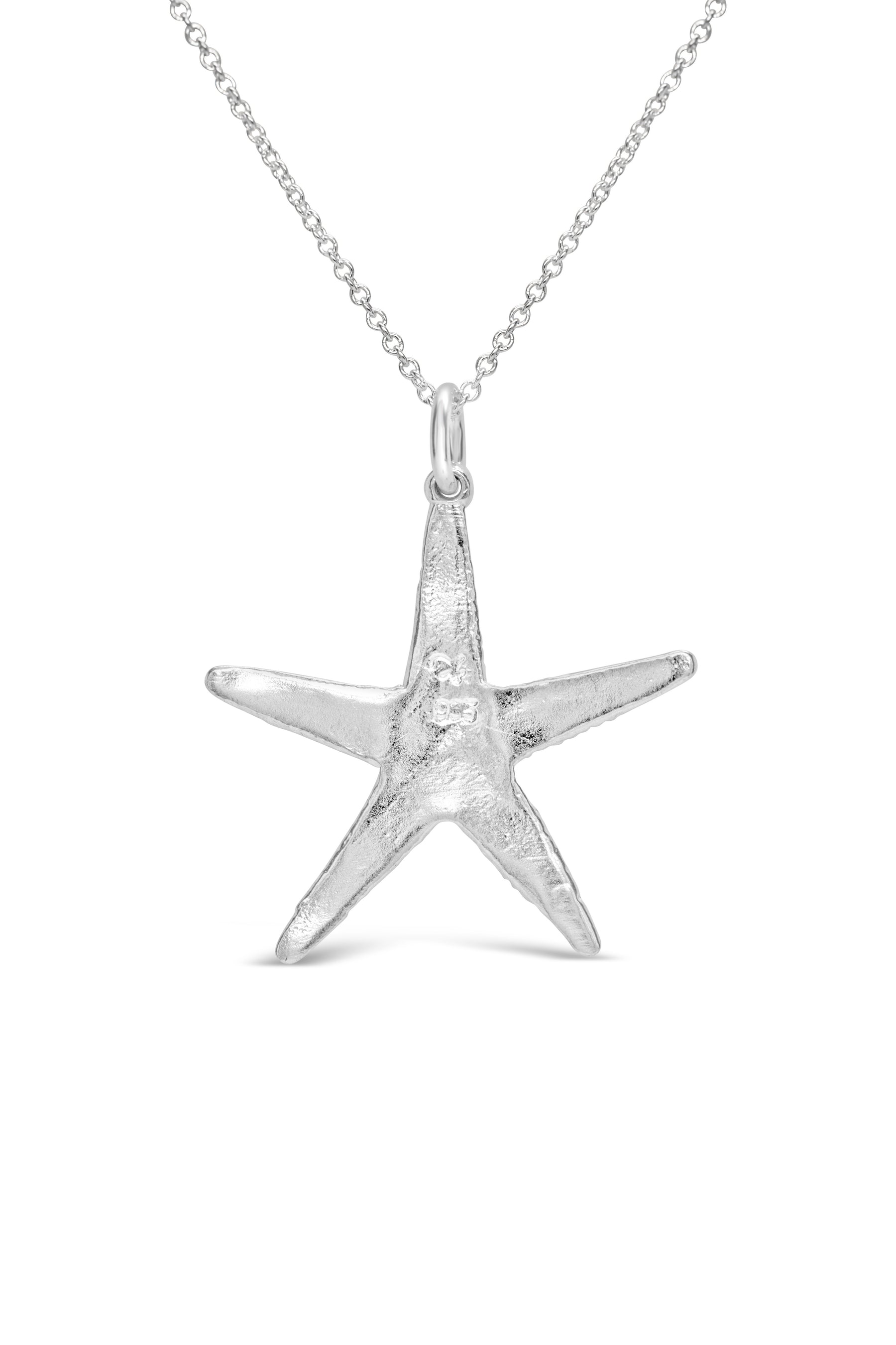 Shell ~ Starfish