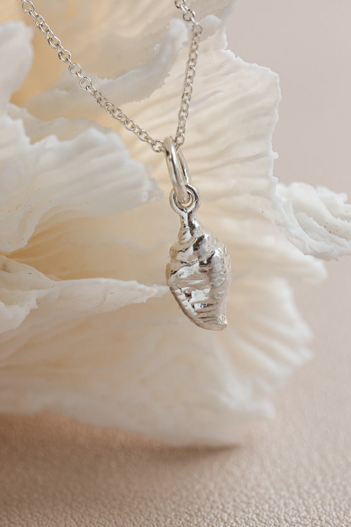 Shell ~ Strombus Conch