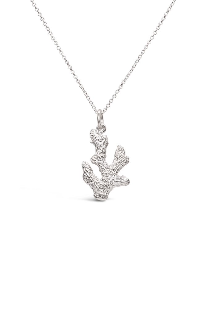 Icons ~ Coral Branch