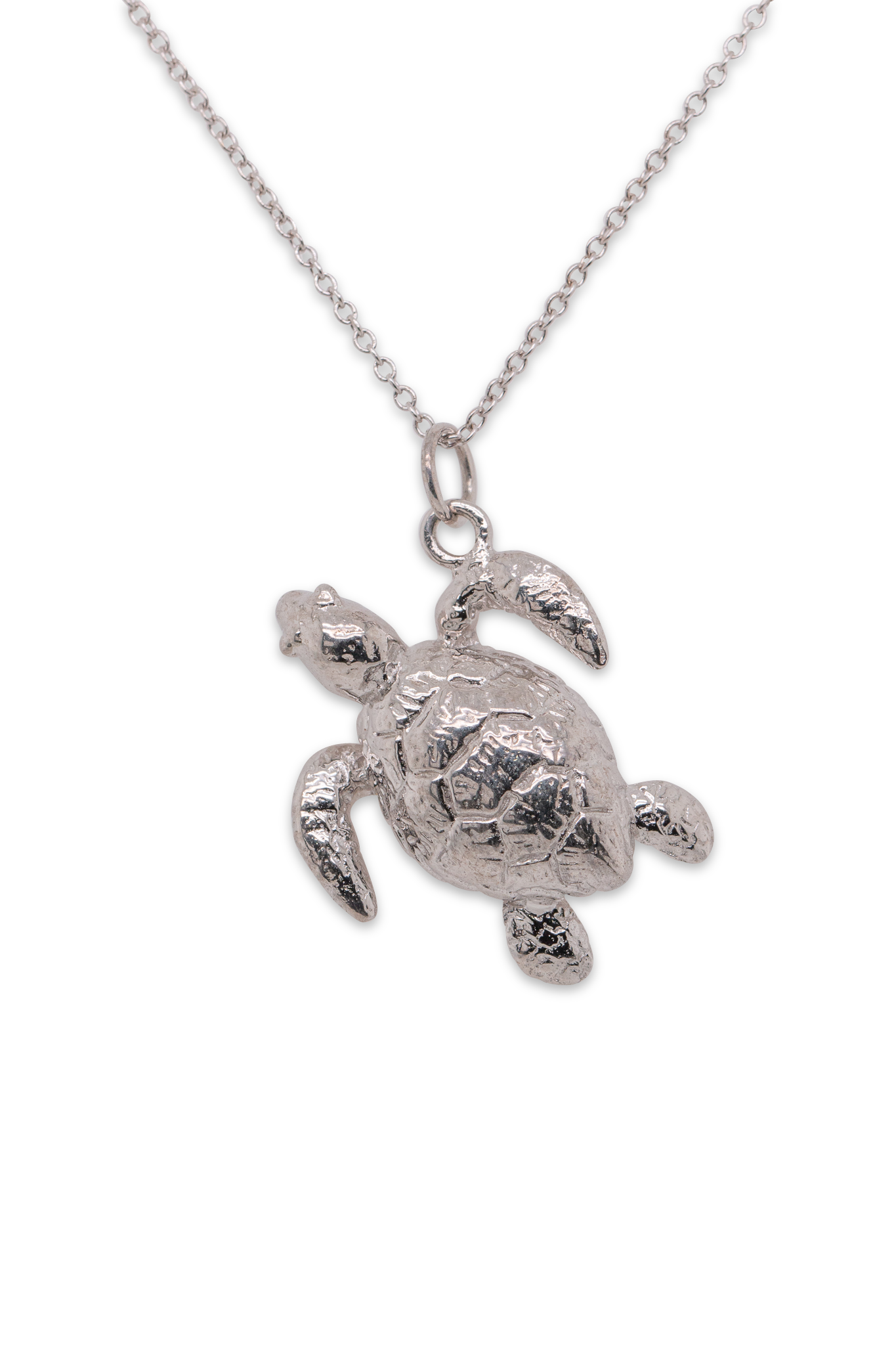 Friends ~ Turtle (Medium) Pendant in Gold - Alexandra Mosher Studio Jewellery Bermuda Fine