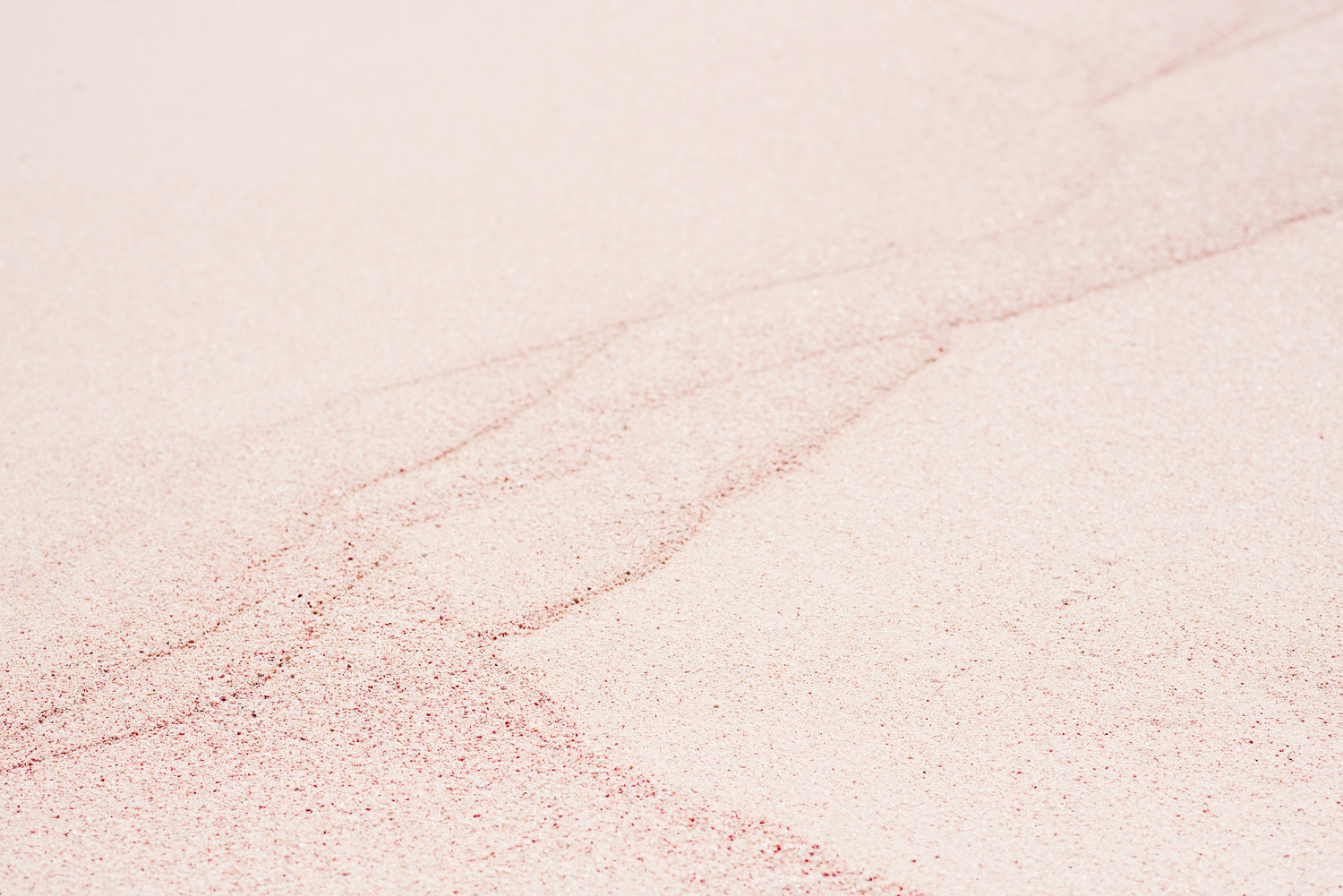 Why Bermuda's Sand is Pink!