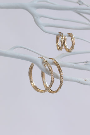 Hoops ~ Cedar Sprig Small Huggies in Gold