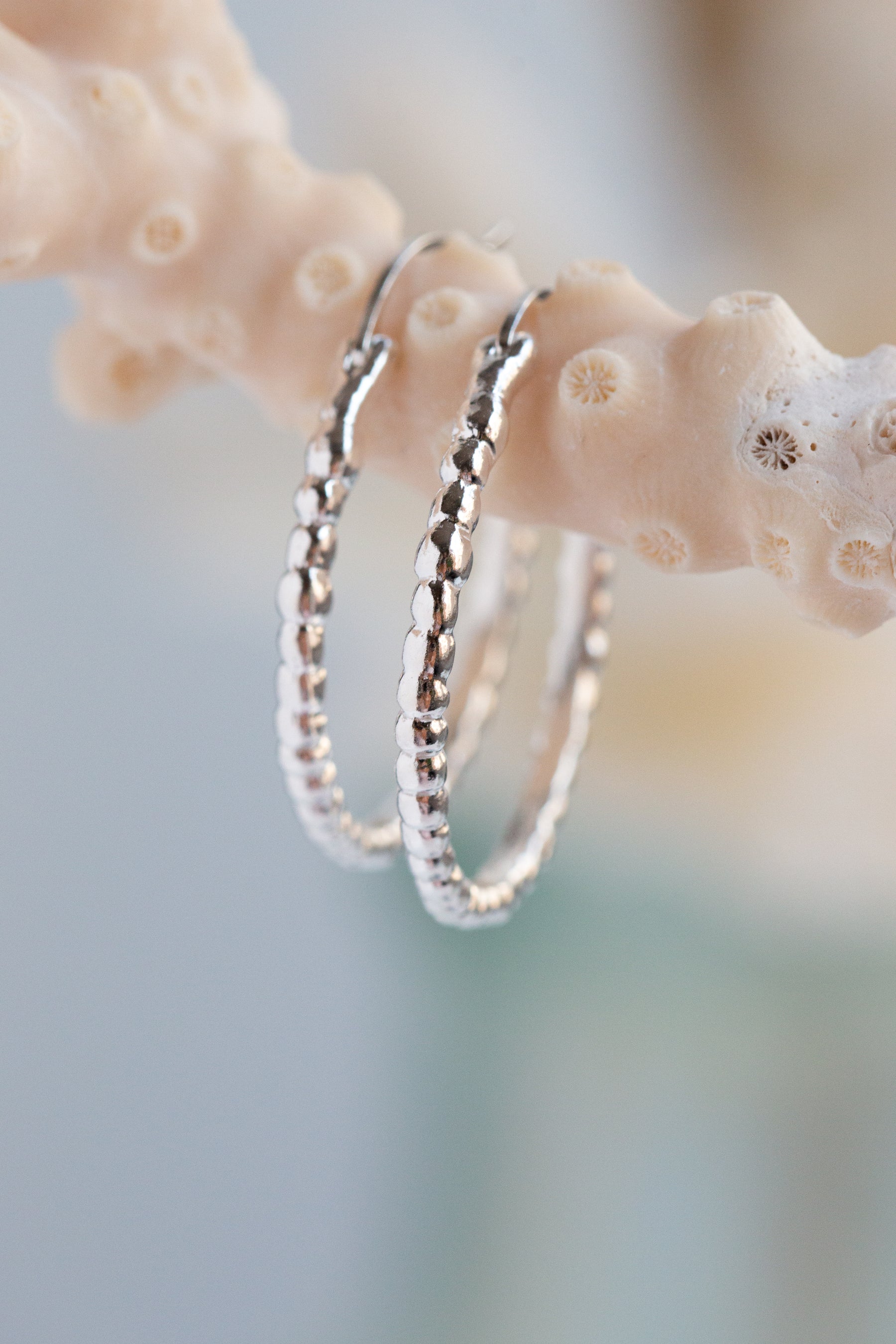 Hoops ~ Caviar Large