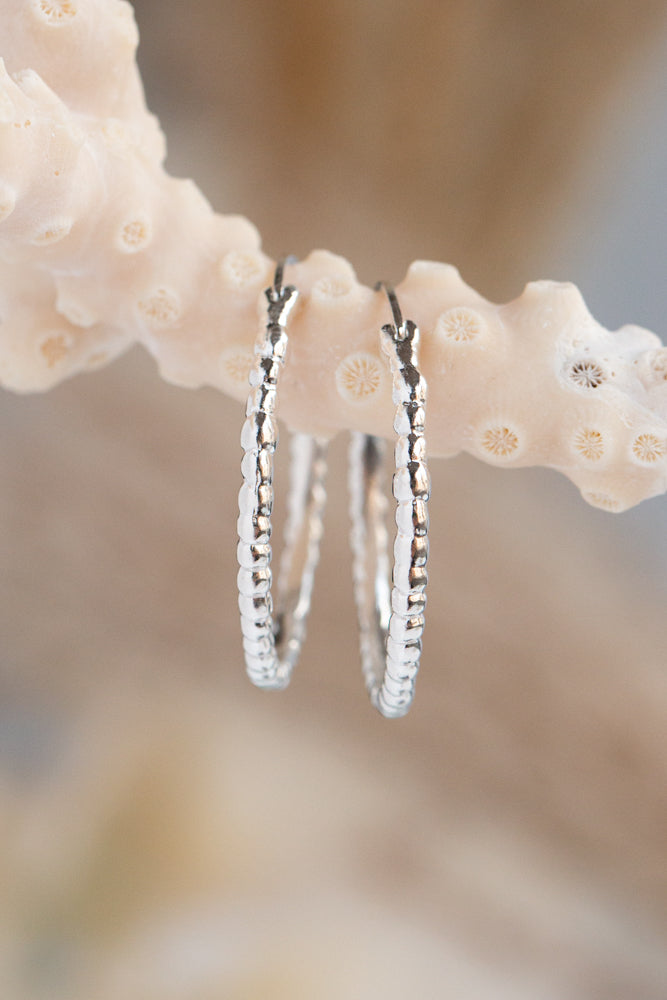 Hoops ~ Caviar Large