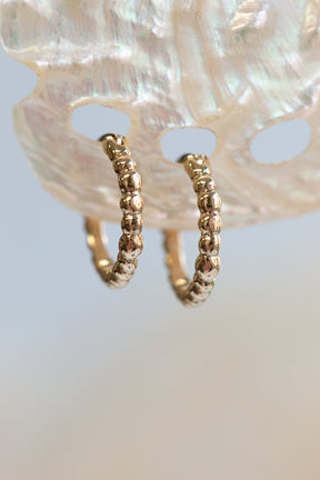 Hoops ~ Caviar Small Huggies in Gold