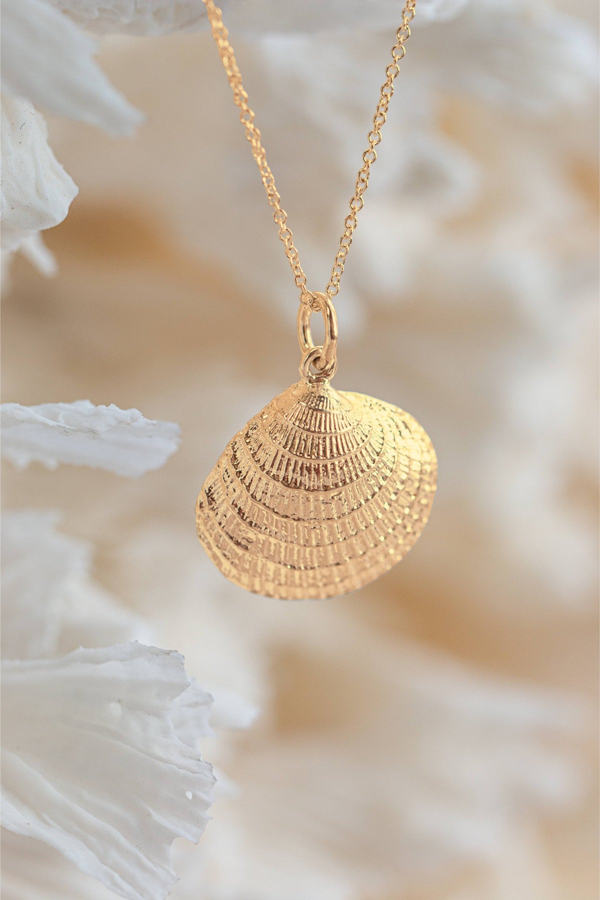 Shell ~ Clam (Large) in Gold