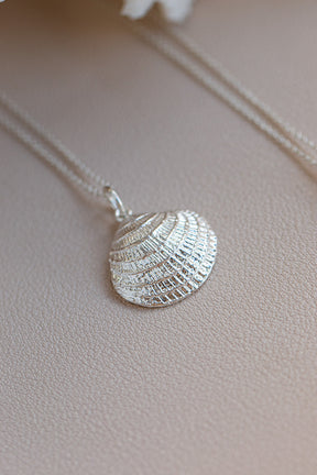 Shell ~ Clam (Large)