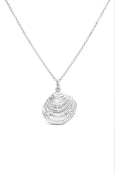 Shell ~ Clam (Large)