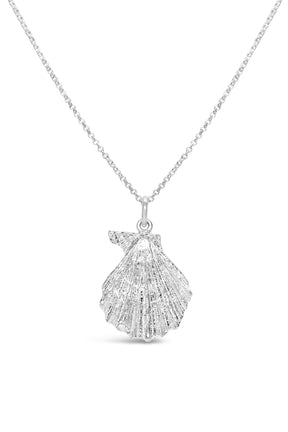 Shell ~ Knobby (Large)