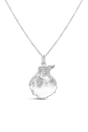 Shell ~ Knobby (Large)