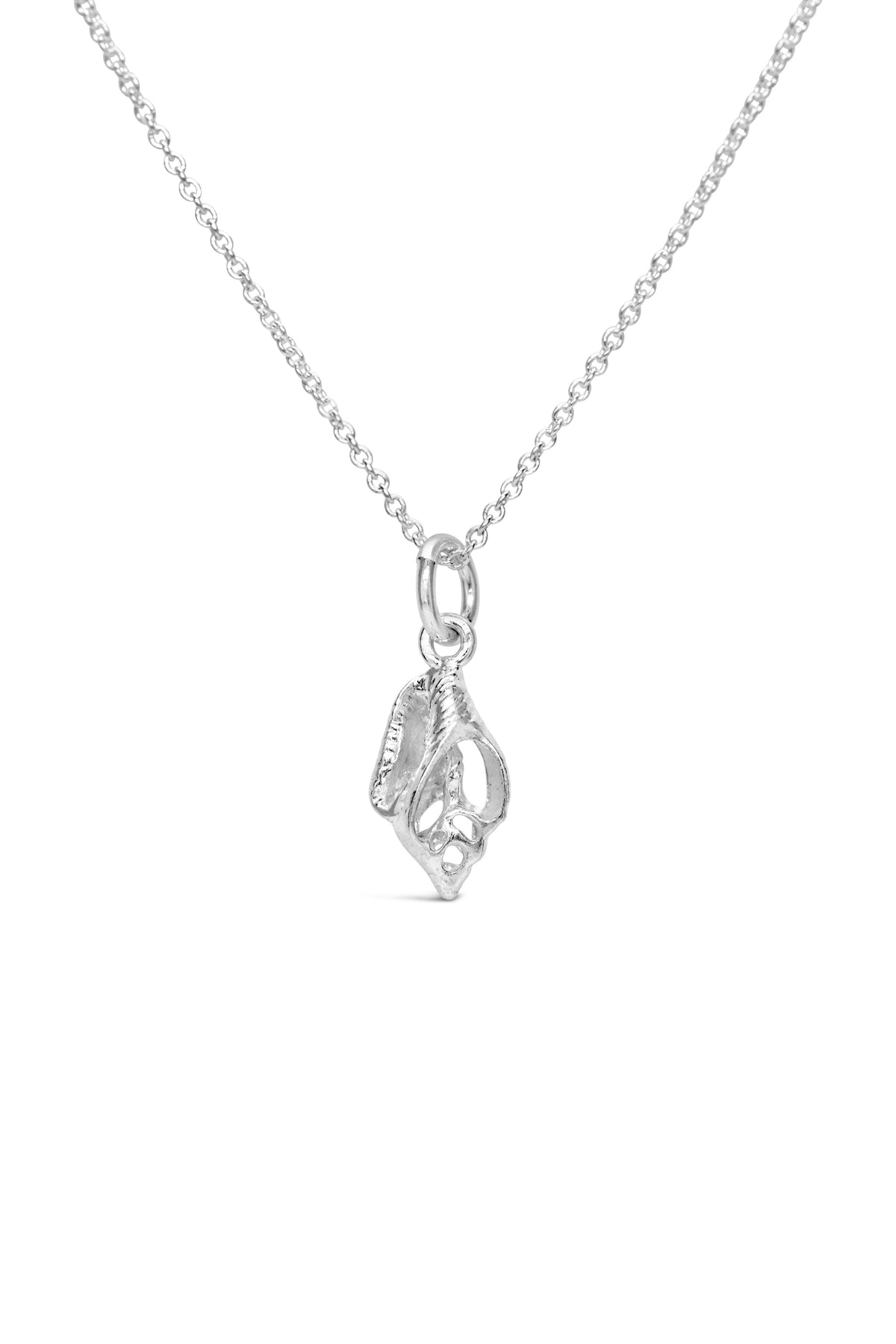 Shell ~ Open Shell (Small)