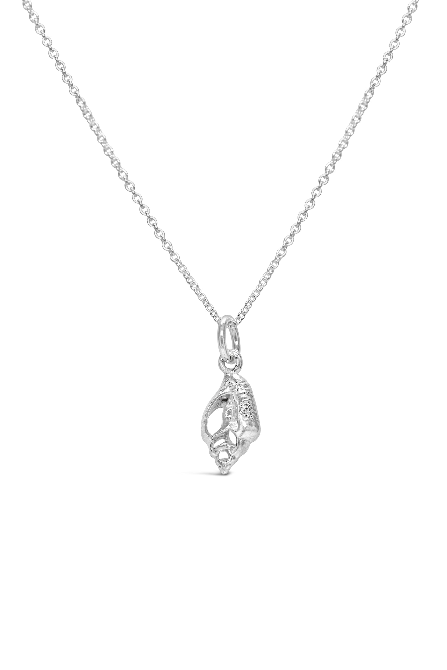 Shell ~ Open Shell (Small)