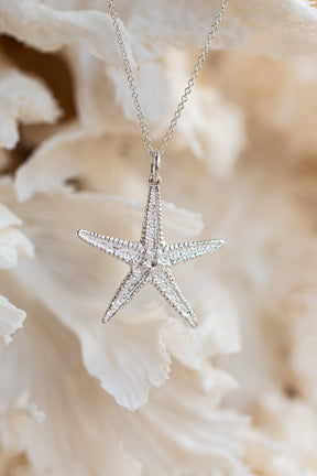 Shell ~ Starfish