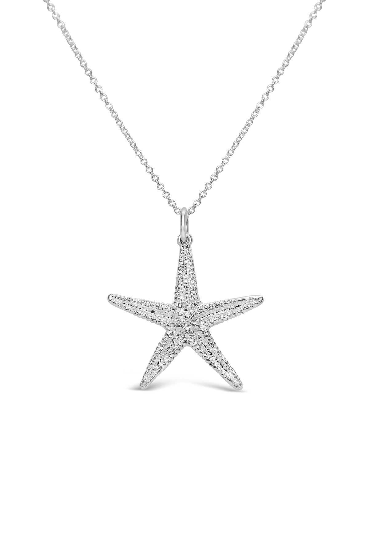 Shell ~ Starfish