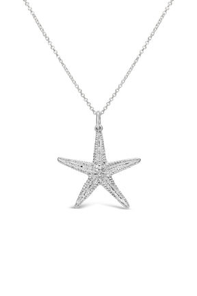 Shell ~ Starfish