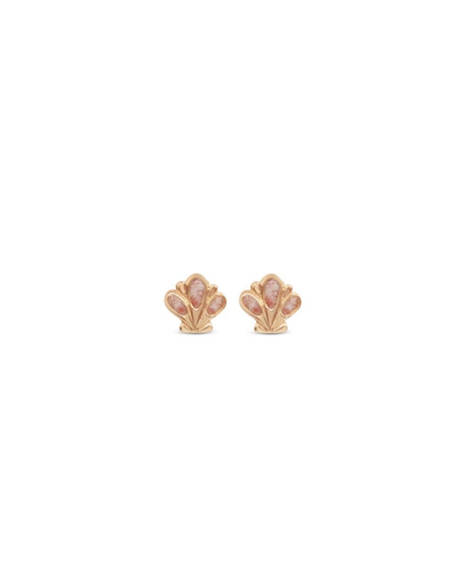 Shell ~ Scallop Stud Earrings in Gold