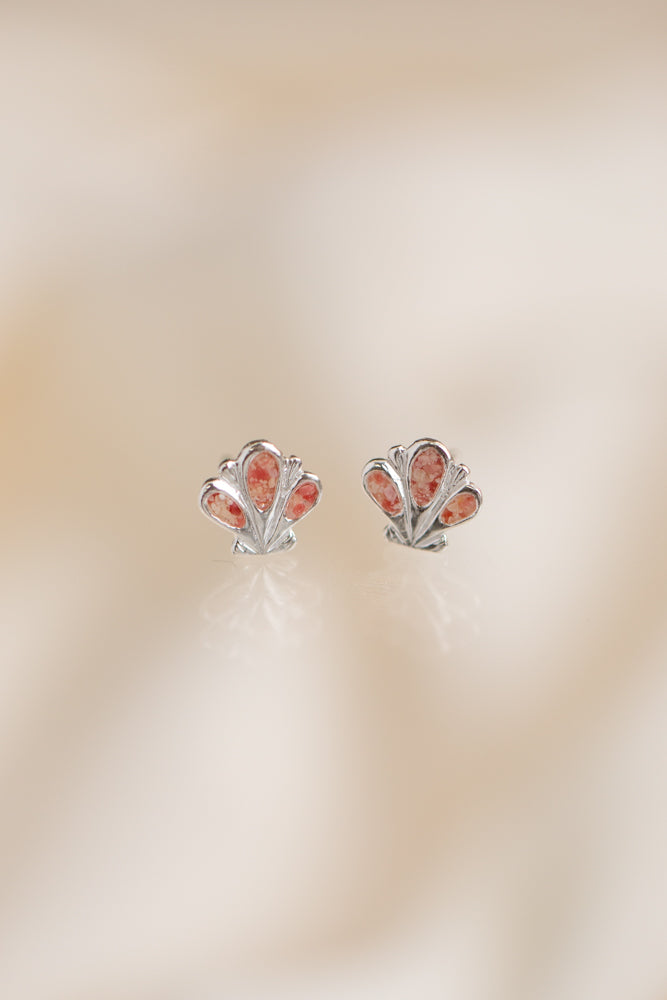 Shell ~ Scallop Stud Earrings