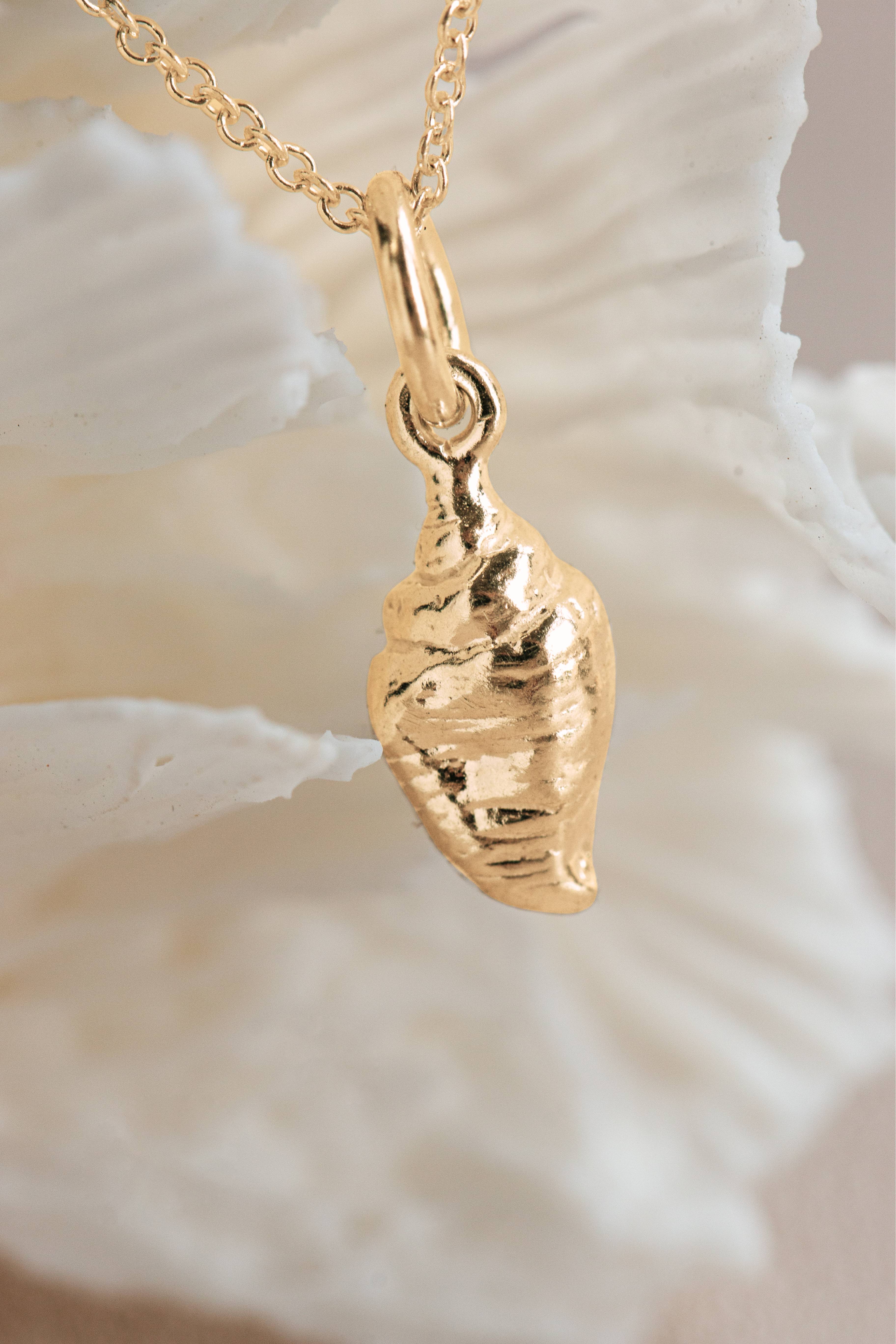 Shell ~ Strombus Conch in Gold