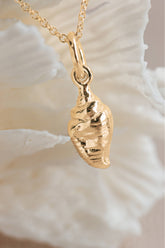 Shell ~ Strombus Conch in Gold