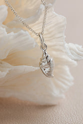 Shell ~ Strombus Conch