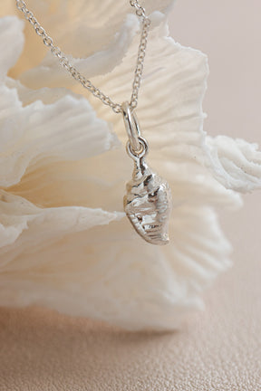 Shell ~ Strombus Conch