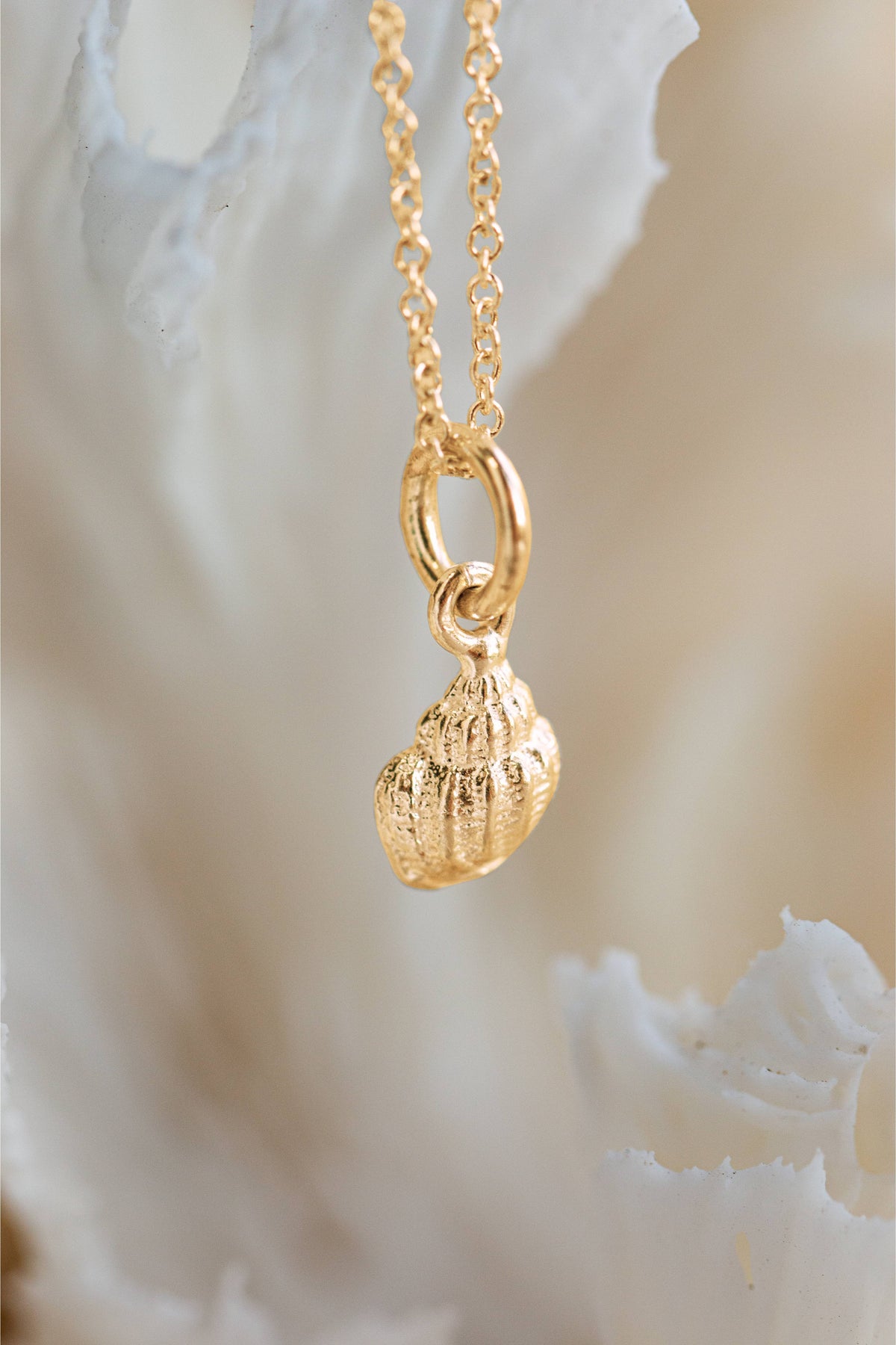 Shell ~ Whurl in Gold