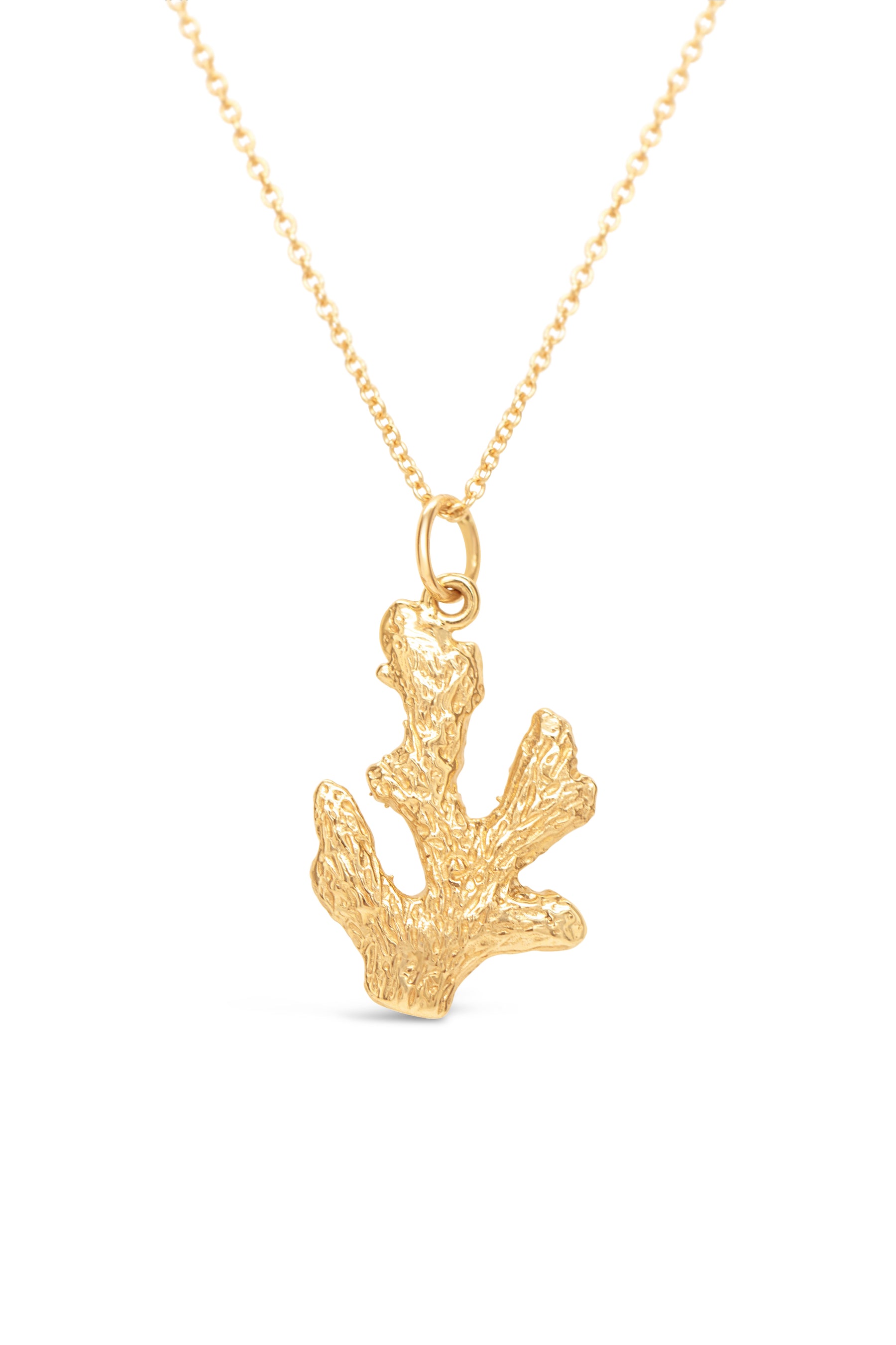 Icons ~ Coral Branch in Gold