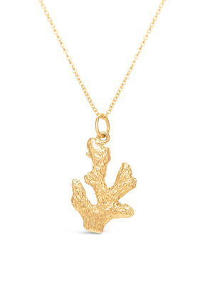 Icons ~ Coral Branch in Gold